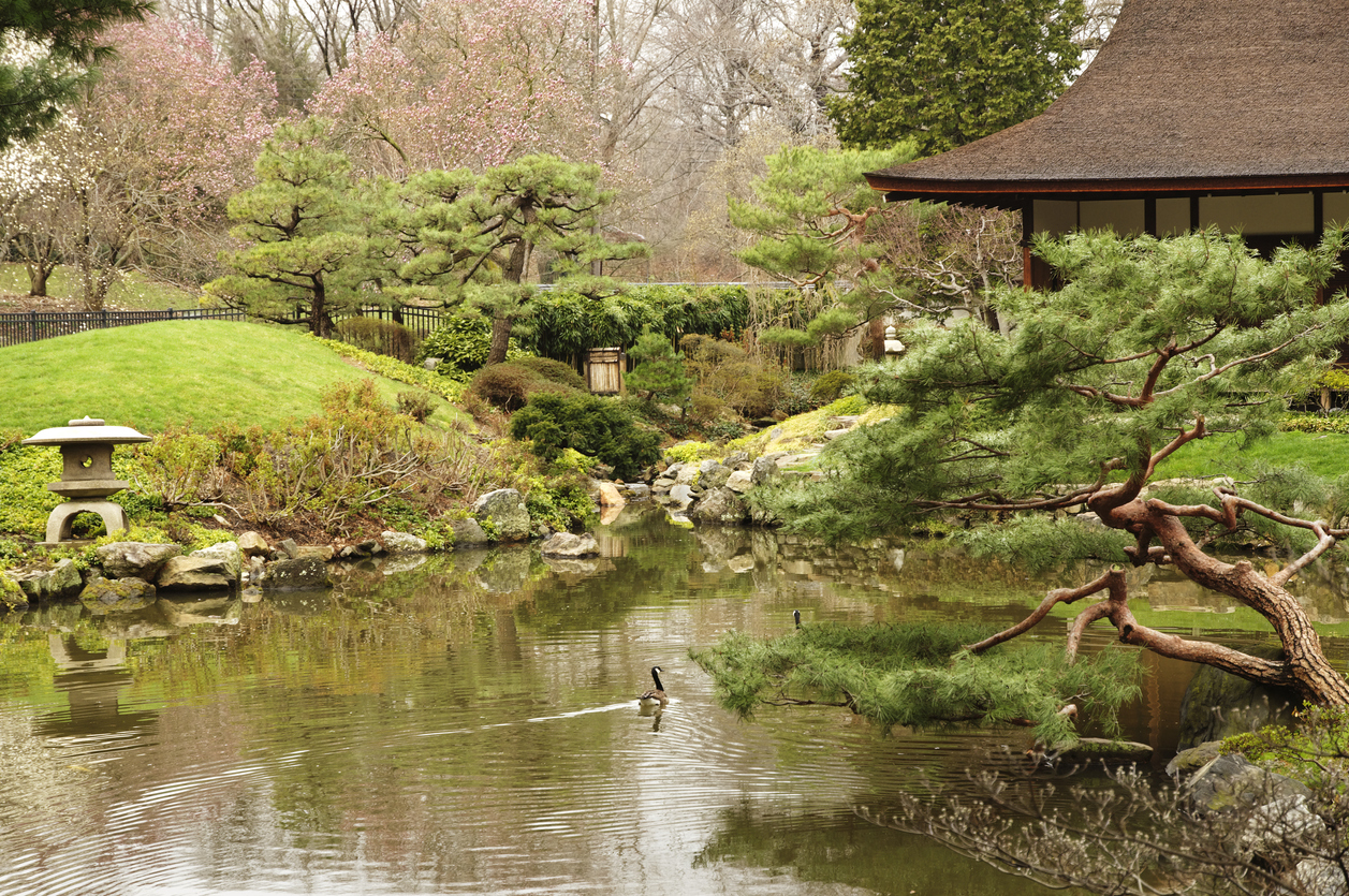 Japanese garden in Philadelphia park